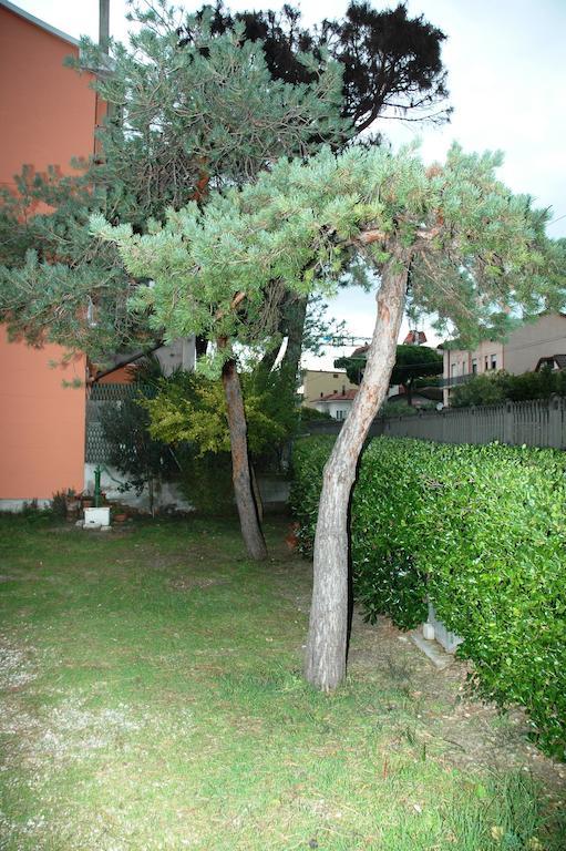 Villa Linda Affittacamere ベラーリア・イジェア・マリーナ エクステリア 写真